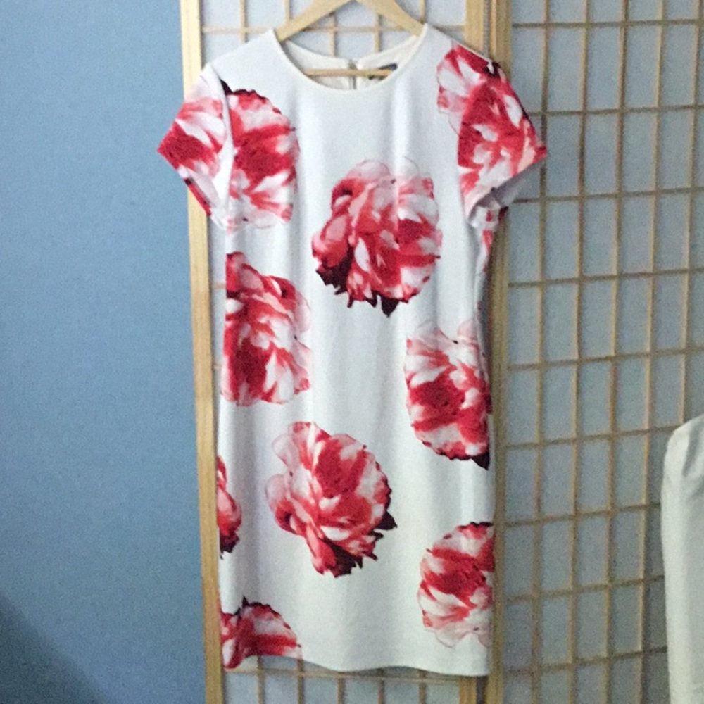 Vince Camuto sheath dress. White with red blooms. Stunning.